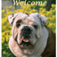 Bulldog Best Of Breed Indoor/Outdoor Aluminium Sign