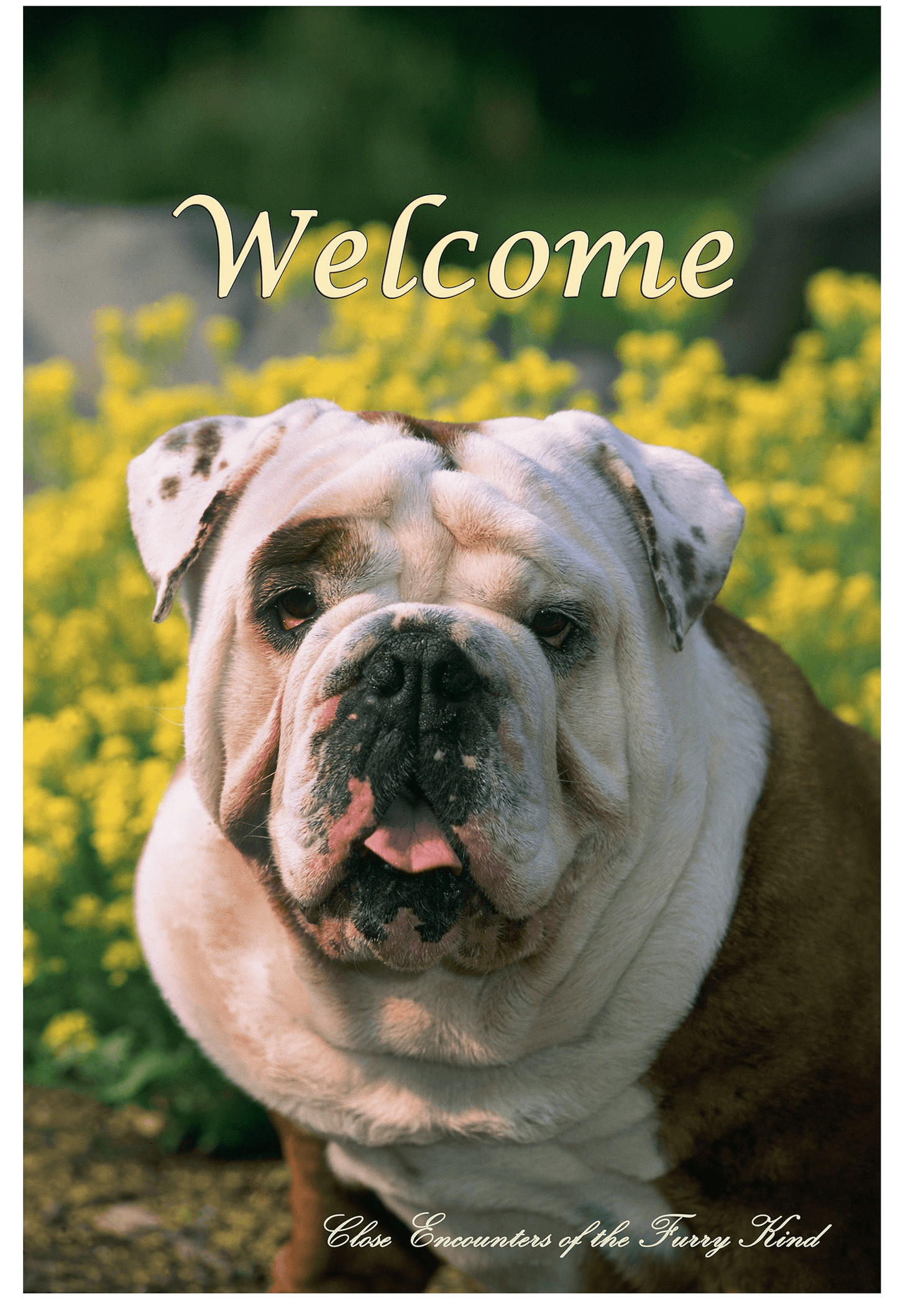 Bulldog Best Of Breed Indoor/Outdoor Aluminium Sign