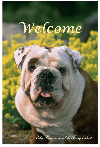 Bulldog Best Of Breed Indoor/Outdoor Aluminium Sign