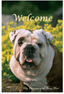 Bulldog Best Of Breed Indoor/Outdoor Aluminium Sign