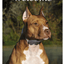 American Staffordshire Indoor/Outdoor Aluminium Sign - Best Of Breed