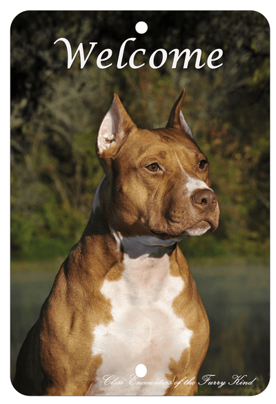 American Staffordshire Indoor/Outdoor Aluminium Sign - Best Of Breed