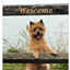 Cairn Terrier Best Of Breed Aluminium Sign