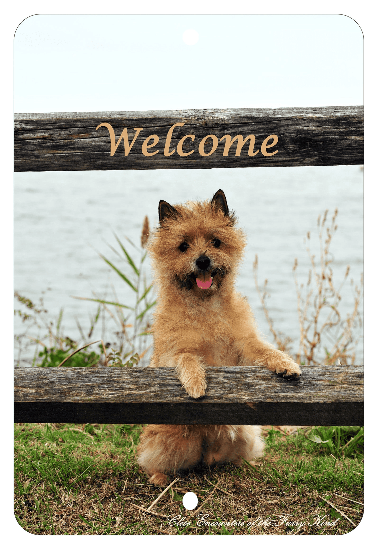 Cairn Terrier Best Of Breed Aluminium Sign