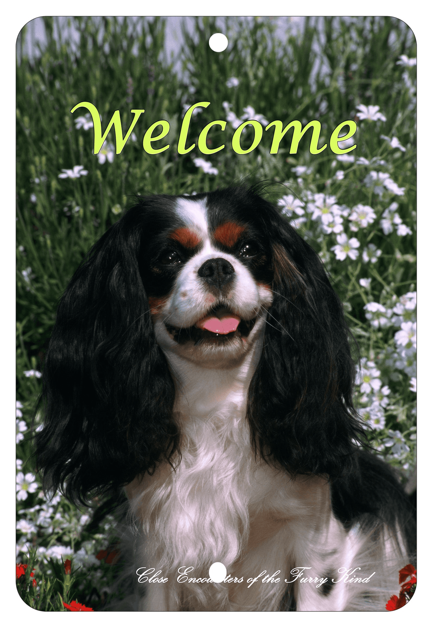 Cavalier King Charles Tri Dog Lover's Indoor/Outdoor Aluminium Sign
