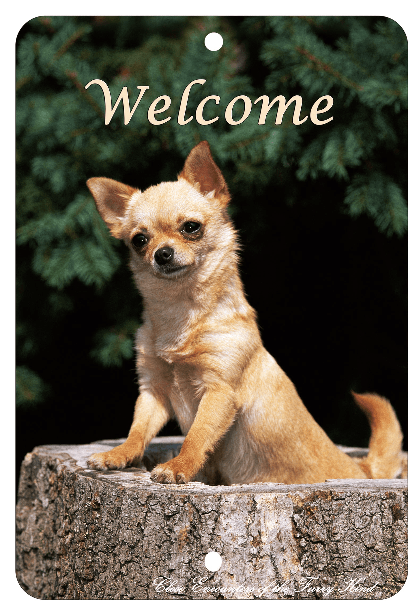 Chihuahua Best Of Breed Indoor/Outdoor Aluminium Sign
