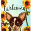 Chihuahua Welcome Indoor/Outdoor Aluminium Sign