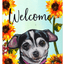 Chihuahua Black Indoor/Outdoor Aluminium Dog Sign