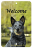 Australian Cattle Dog Best Of Breed Indoor/Outdoor Aluminum Sign