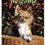 Chihuahua Longhair Best Of Breed Aluminium Sign