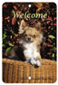 Chihuahua Longhair Best Of Breed Aluminium Sign
