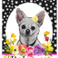 Chihuahua Paw Prints Welcome Indoor/Outdoor Aluminium Sign 8" X 12"