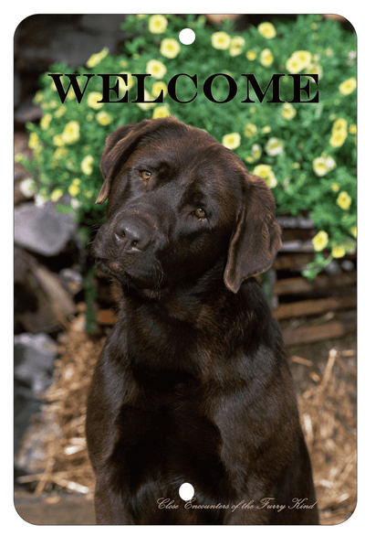 Chocolate Labrador Best Of Breed Aluminium Sign