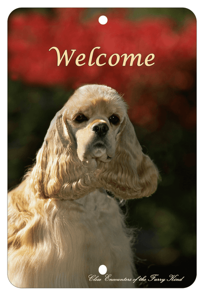 Cocker Spaniel Buff - Best Of Breed Aluminium Sign