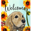 Cocker Spaniel Buff Indoor/Outdoor Aluminium Sign
