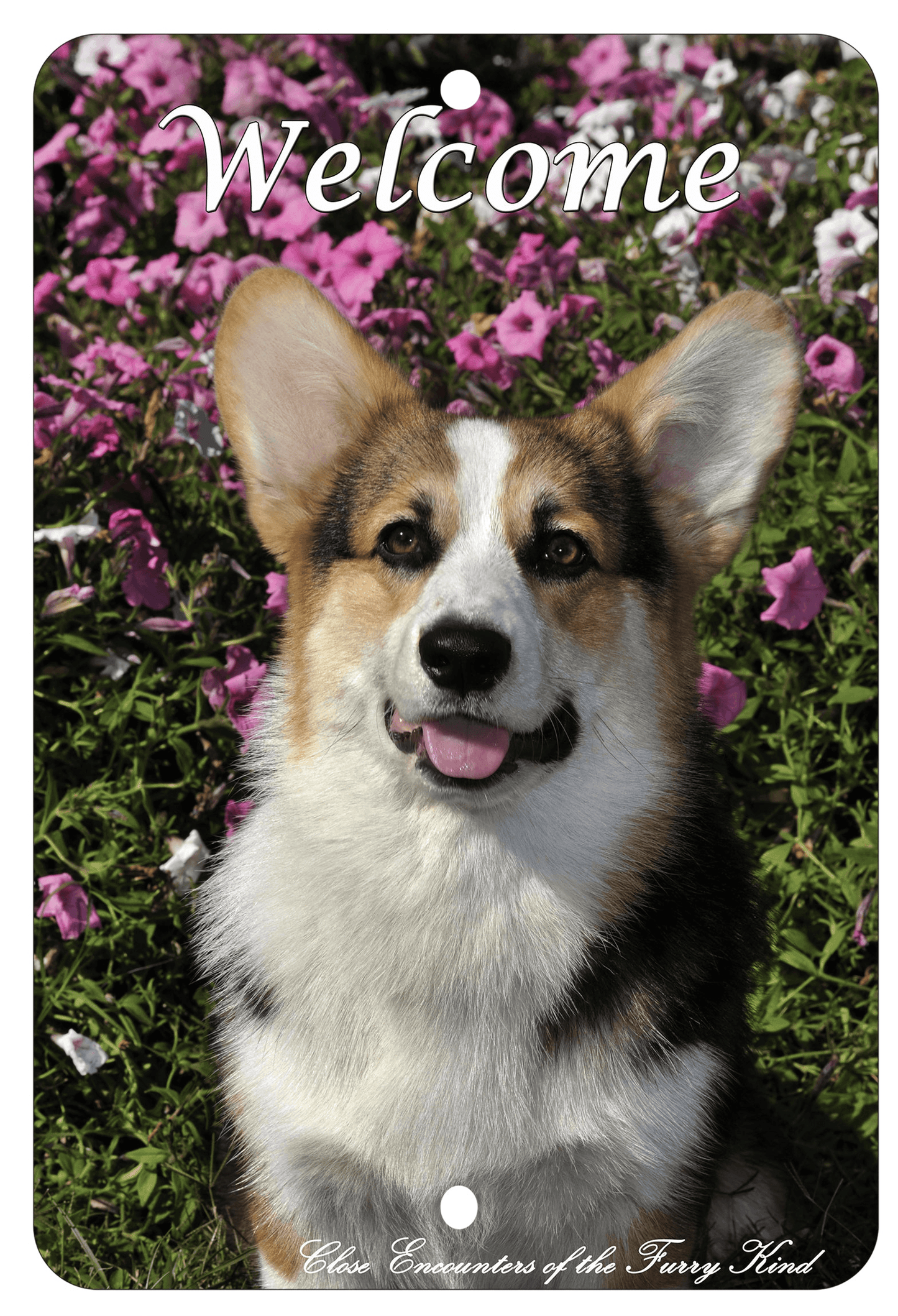 Pembroke Welsh Corgi Aluminium Sign – Indoor/Outdoor 8" X 12"