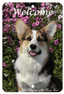 Pembroke Welsh Corgi Aluminium Sign – Indoor/Outdoor 8" X 12"
