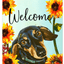 Dachshund Black/Tan Indoor/Outdoor Aluminium Sign