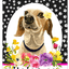 Dachshund Piebald Welcome Sign - High-Grade Aluminium 8" X 12"
