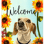 Dachshund Piebald Indoor/Outdoor Aluminium Sign
