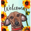 Dachshund Welcome Indoor/Outdoor Aluminium Sign - 8" X 12"