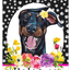 Doberman Uncropped Aluminium Sign - Hhs Paw Prints Welcome