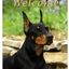 Doberman Cropped Aluminium Sign - Best Of Breed Indoor/Outdoor Decoration