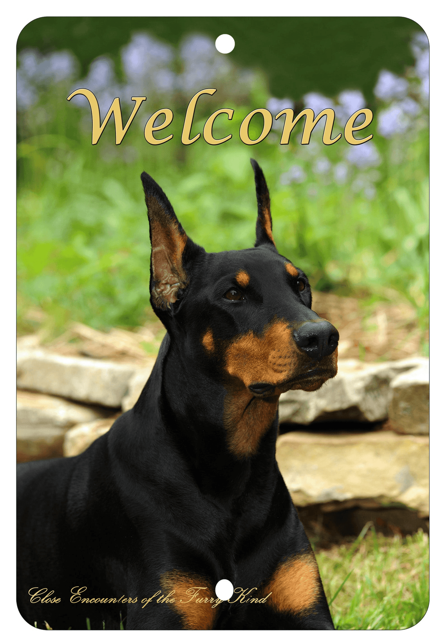 Doberman Cropped Aluminium Sign - Best Of Breed Indoor/Outdoor Decoration