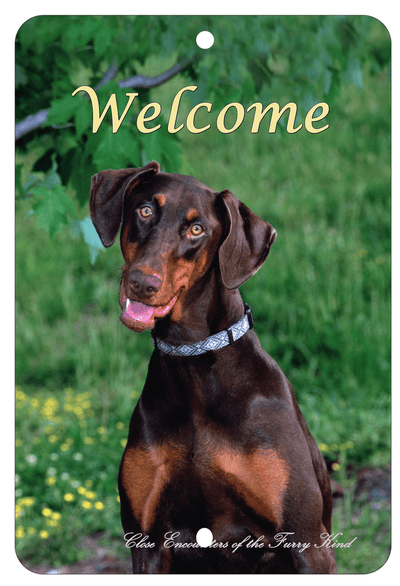 Doberman Uncropped Indoor/Outdoor Aluminium Sign - Best Of Breed