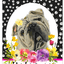 Hhs Paw Prints Welcome Indoor/Outdoor Aluminum Sign For Dog Lovers