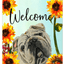 English Bulldog Welcome Indoor/Outdoor Aluminum Sign 8" X 12"