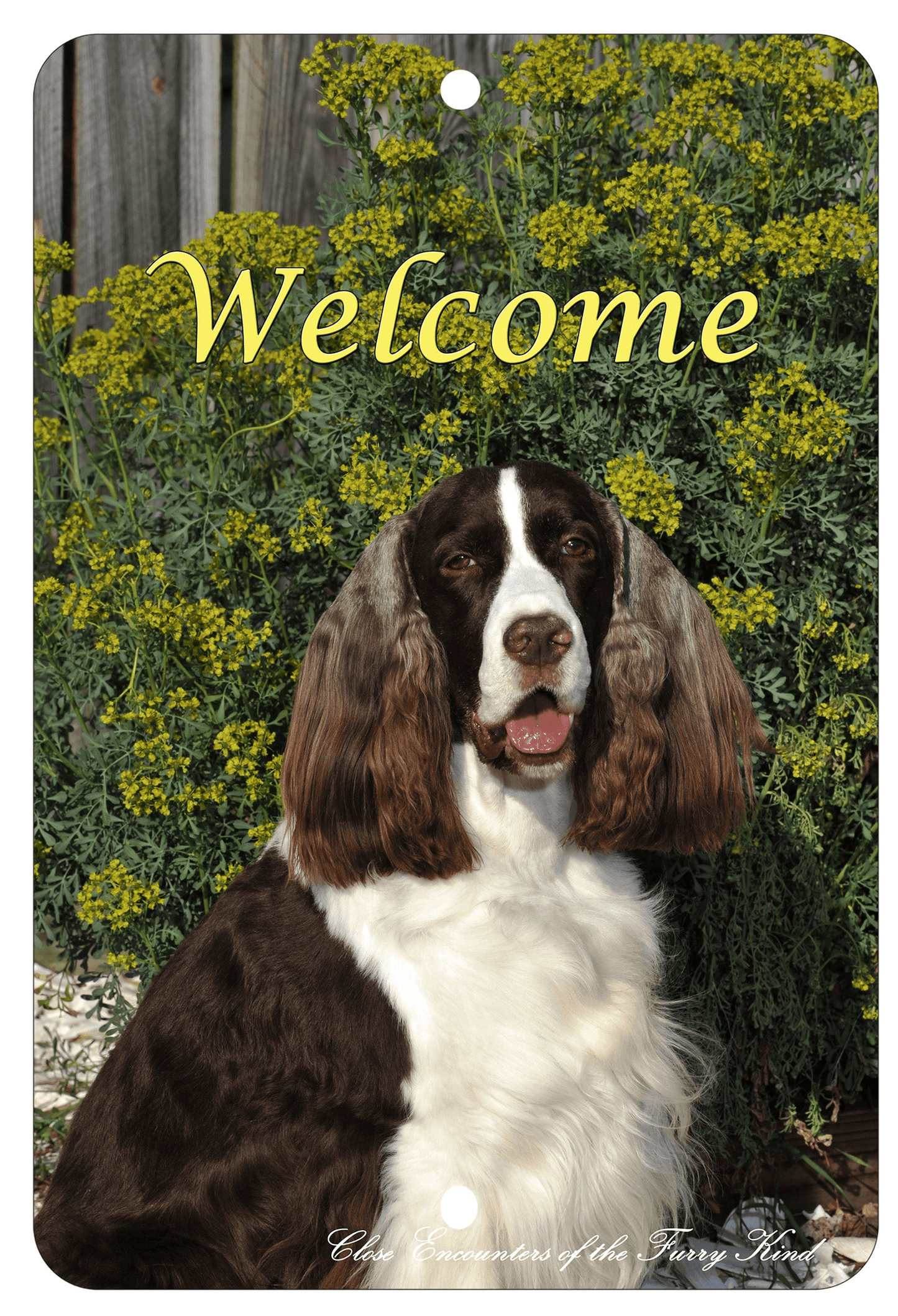 English Springer Spaniel Best Of Breed Aluminum Sign 8" X 12"