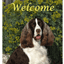 English Springer Spaniel Best Of Breed Aluminum Sign 8" X 12"