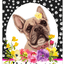 French Bulldog Cream Welcome Sign - Indoor/Outdoor Aluminium Decor
