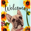 French Bulldog Cream Indoor/Outdoor Aluminium Sign