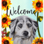 Australian Shepherd Welcome Indoor/Outdoor Aluminum Sign - 8" X 12"