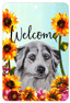 Australian Shepherd Welcome Indoor/Outdoor Aluminum Sign - 8" X 12"