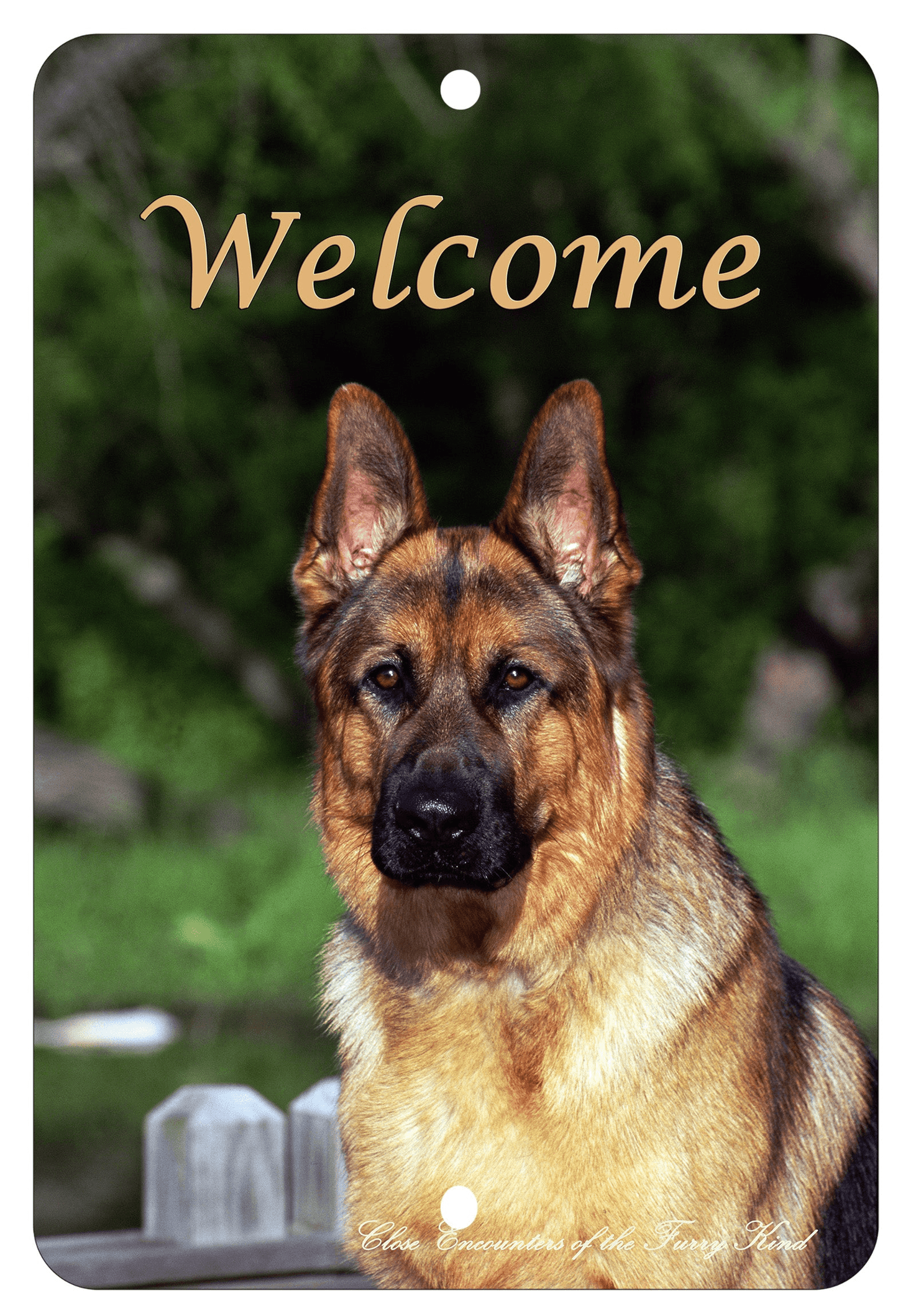 German Shepherd Best Of Breed Aluminum Sign - 8"X12"