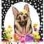 German Shepherd Welcome Indoor/Outdoor Aluminium Sign
