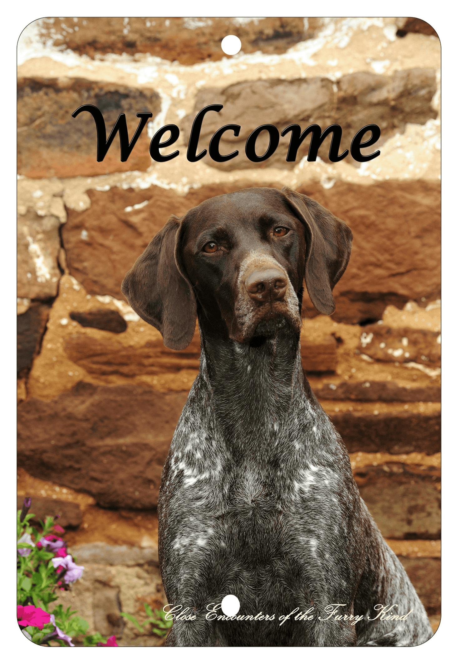 German Shorthair Pointer Indoor/Outdoor Aluminium Sign