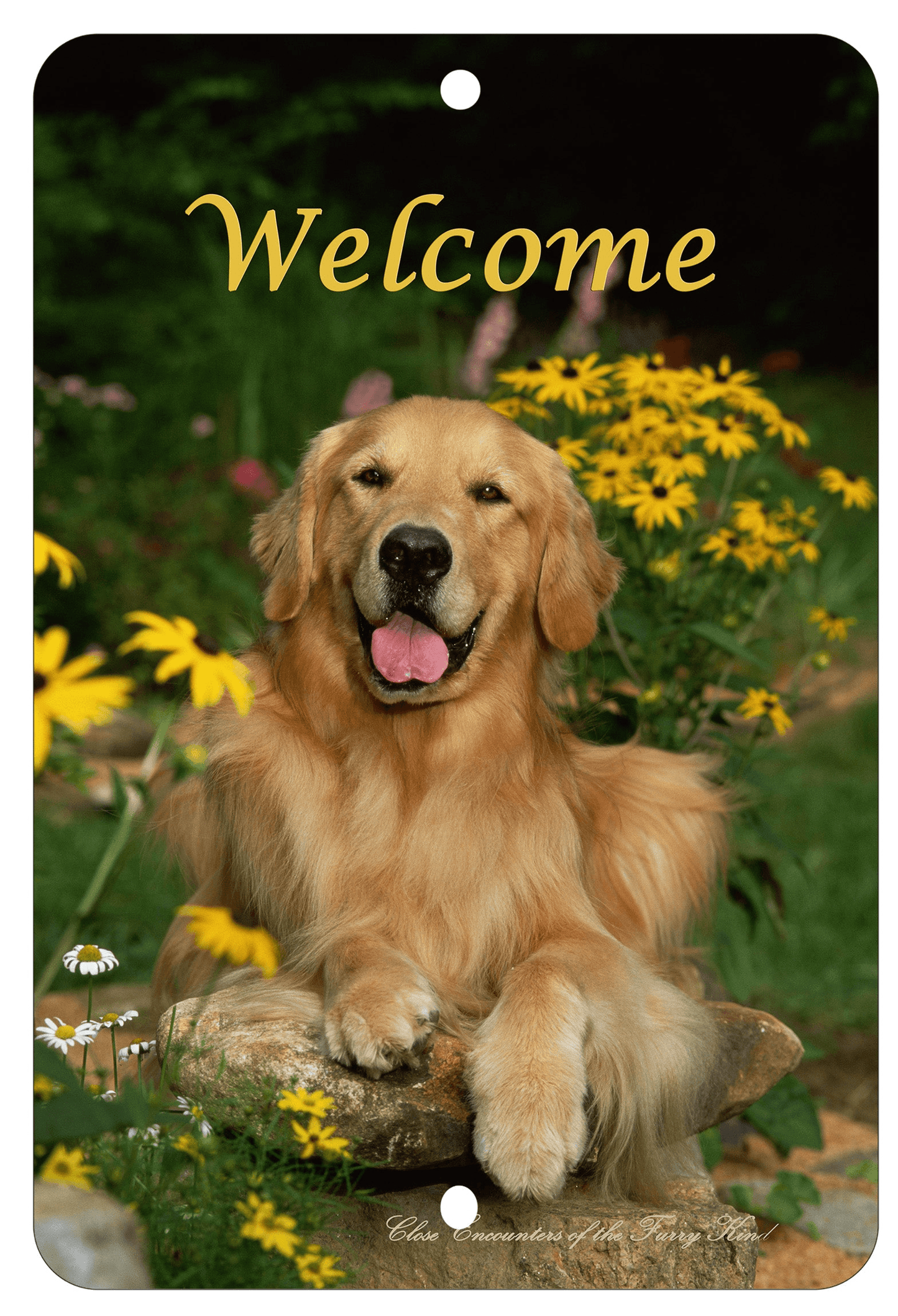 Golden Retriever Best Of Breed Aluminium Sign - Indoor/Outdoor 8" X 12"