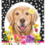 Hhs Paw Prints Welcome Aluminium Sign For Dog Lovers