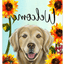 Golden Retriever Welcome Indoor/Outdoor Aluminium Sign