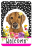 Golden Retriever Red - Welcome Indoor/Outdoor Aluminium Sign