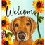 Golden Retriever Welcome Indoor/Outdoor Aluminium Sign - 8" X 12"