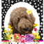 Goldendoodle Apricot Welcome Sign - Indoor/Outdoor Aluminum Decor