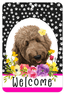 Goldendoodle Apricot Welcome Sign - Indoor/Outdoor Aluminum Decor