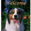 Australian Shepherd Indoor/Outdoor Aluminium Sign