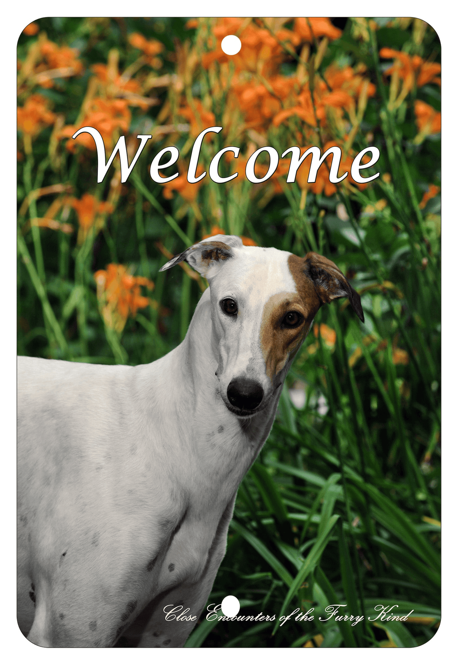 Greyhound Best Of Breed Indoor/Outdoor Aluminium Sign