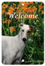 Greyhound Best Of Breed Indoor/Outdoor Aluminium Sign